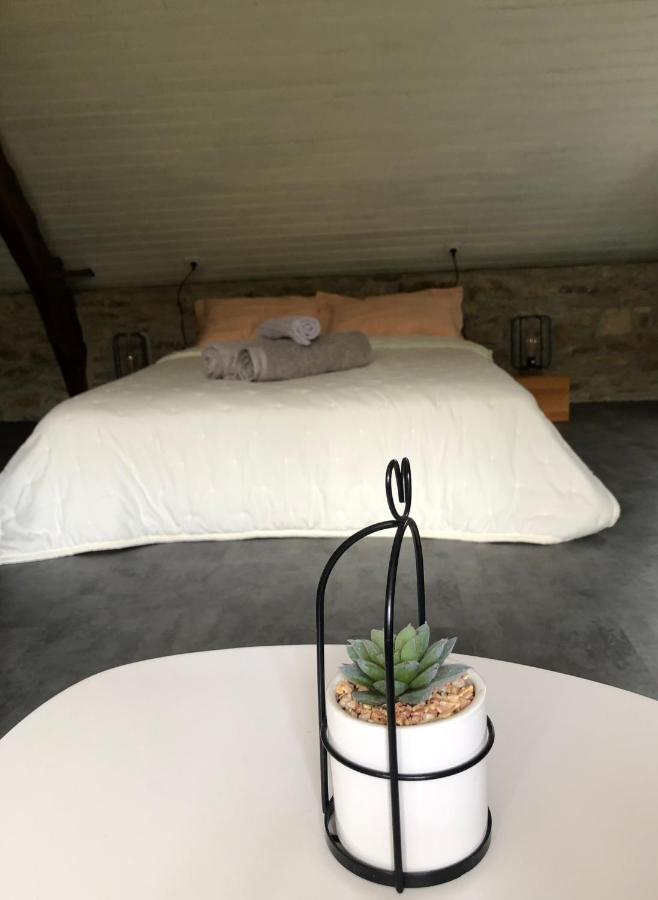 Le Domaine De La Claire Fontaine Gites -Chambres D'Hotes Montvalent 외부 사진